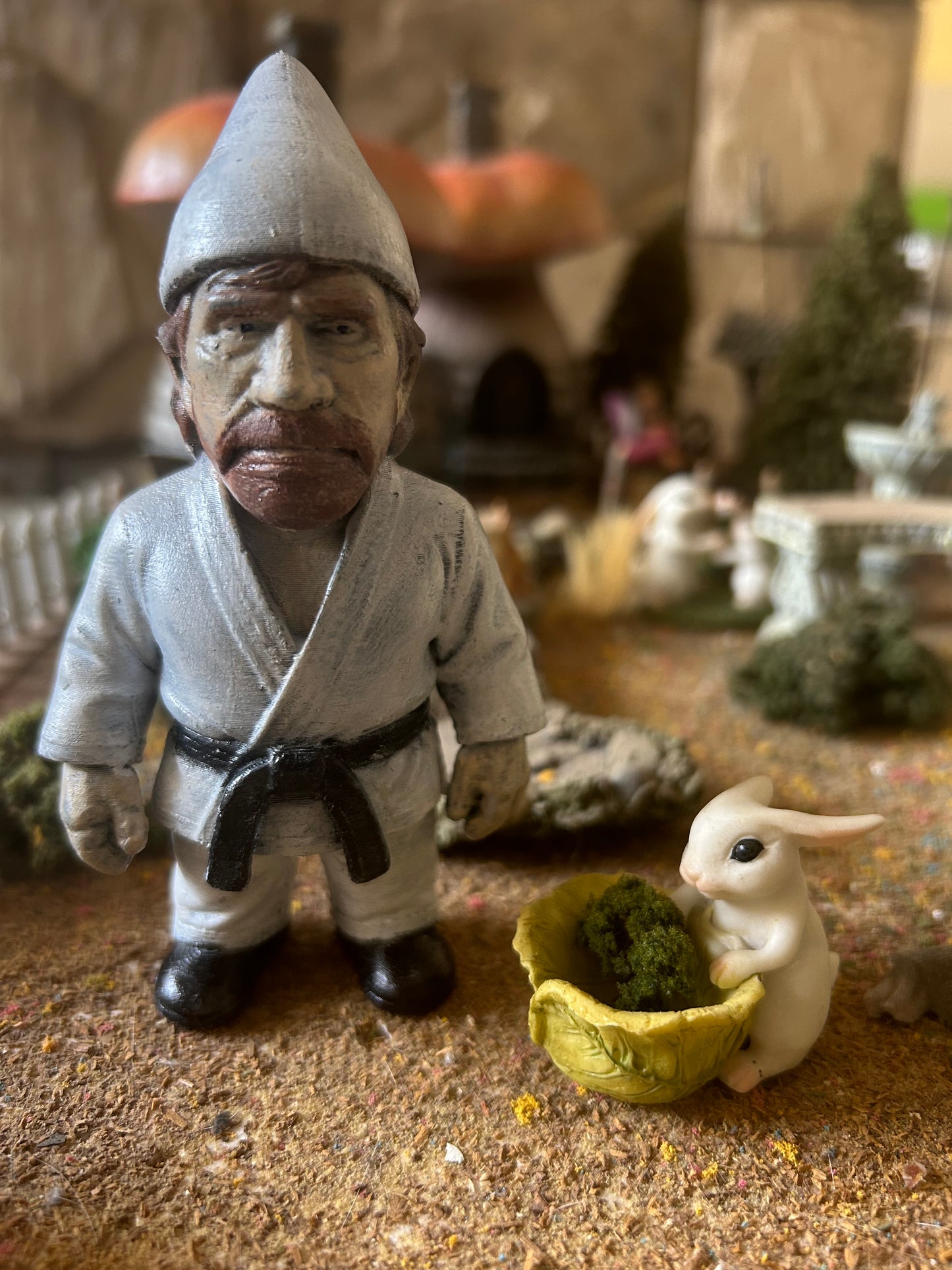 Chuck Gnome-ris