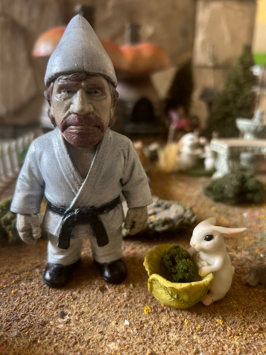 Chuck Gnome-ris